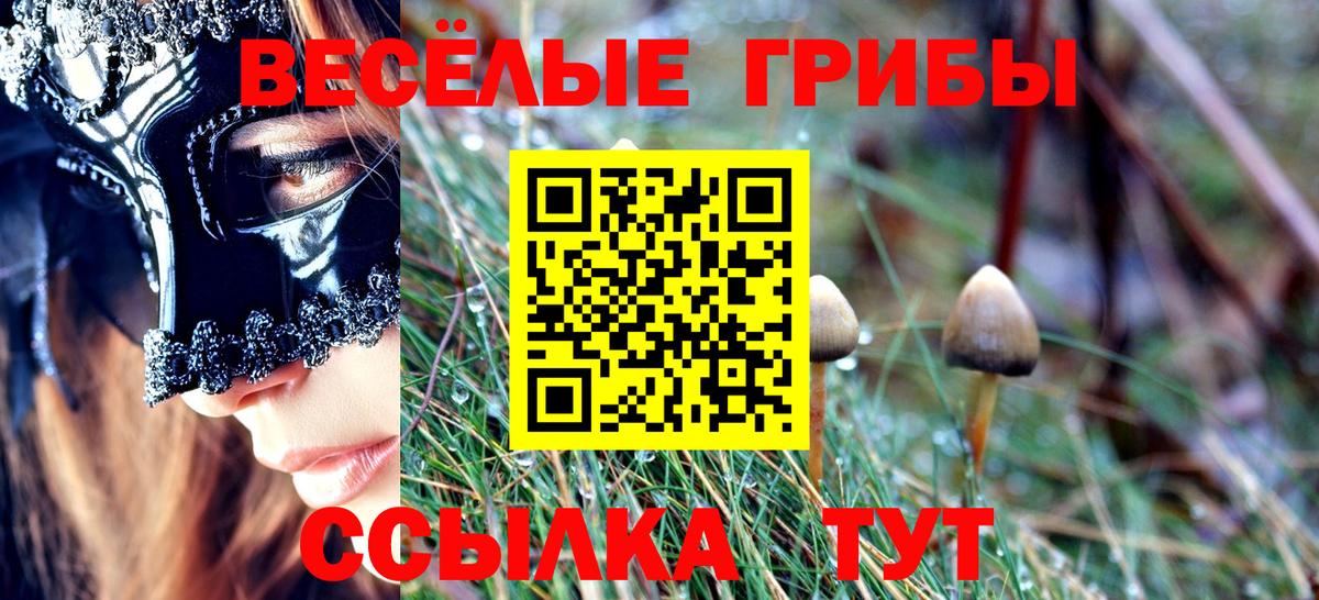 Чистополь  Галлюциногенные грибы мухоморы  Вход с VPN 