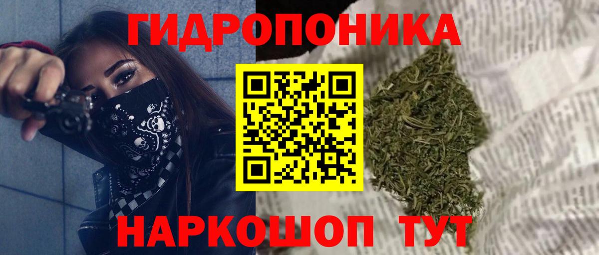Канабис OG Kush Чистополь